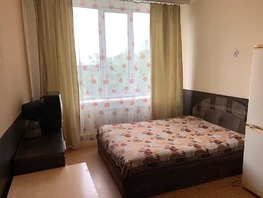 Снять однокомнатную квартиру Павлова ул, 30  м&sup2;, 2970 рублей