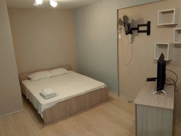 Снять однокомнатную квартиру Красноярский Рабочий пр-кт, 38  м&sup2;, 2550 рублей