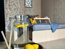 Снять однокомнатную квартиру Лесников ул, 30  м&sup2;, 3000 рублей