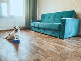 Снять двухкомнатную квартиру Светлогорский пер, 63  м&sup2;, 3800 рублей