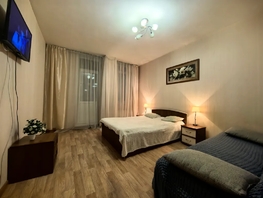 Снять однокомнатную квартиру Алексеева ул, 46  м&sup2;, 3752 рублей