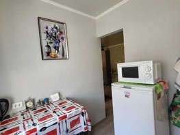 Продается 1-комнатная квартира Никитина ул, 30.6  м², 4300000 рублей