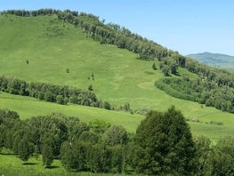 Продается Производственное Алтайская ул, 2200 м², 150000000 рублей