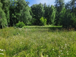 Продается Участок ИЖС Лесной пер, 15  сот., 12000000 рублей