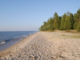 Готовый бизнес, 900 м², 1 этаж