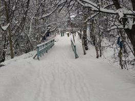 Земельный участок, село Сотниково