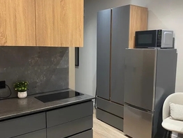 Снять однокомнатную квартиру Бабушкина ул, 22  м&sup2;, 3886 рублей