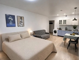 Снять однокомнатную квартиру Смолина ул, 24  м&sup2;, 3300 рублей
