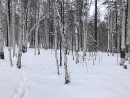 Участок, 9 сот., Земля сельхозназначения