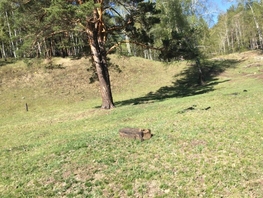 Участок, 11 сот., Земля сельхозназначения