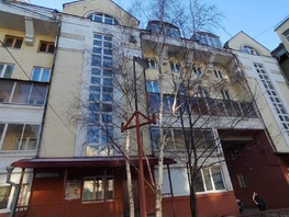 Продается 5-комнатная квартира Партизанская ул, 208.7 м², 20160000 рублей