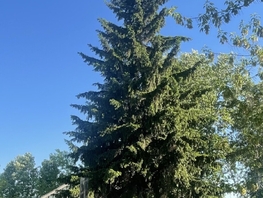 Продается Коттедж 44  м&sup2;, участок 668 сот., 1100000 рублей