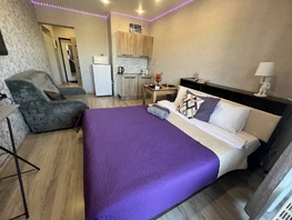 Снять однокомнатную квартиру Пискунова ул, 30  м&sup2;, 3000 рублей