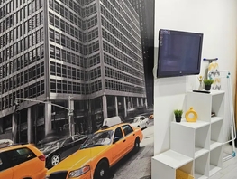 Снять однокомнатную квартиру Пискунова ул, 30  м&sup2;, 3000 рублей