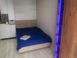 Снять однокомнатную квартиру Юбилейный мкр, 25  м&sup2;, 3500 рублей
