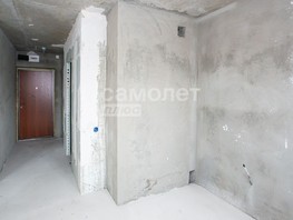 Продается 1-комнатная квартира Тухачевского (Базис) тер, 26.9  м², 3500000 рублей