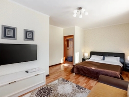 Снять однокомнатную квартиру Ленина пр-кт, 33  м&sup2;, 2698 рублей