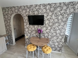 Снять однокомнатную квартиру Дружбы  пр-кт, 24  м&sup2;, 2360 рублей