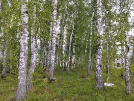 Продается Дачный участок Ясная (Луговой мкр.) ул, 8 сот., 3200000 рублей