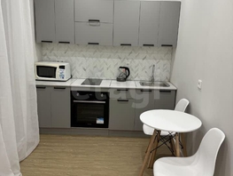 Снять однокомнатную квартиру Гурьевская ул, 27 м², 30000 рублей