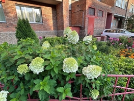 Продается 2-комнатная квартира Большевистская ул, 50.6 м², 5615000 рублей