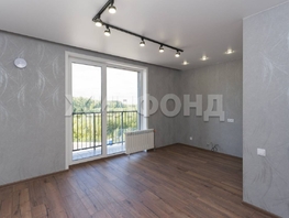 Продается 1-комнатная квартира ЖК Цивилизация, дом 2, 23.9  м², 4600000 рублей