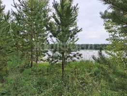 Продается Дом Береговая ул, 20  м&sup2;, участок 25 сот., 3490000 рублей