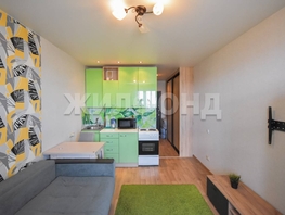 Продается Студия Виктора Уса ул, 19.6  м&sup2;, 2840000 рублей