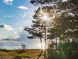 Продается Дом Школьная ул, 40.5  м&sup2;, участок 24 сот., 400000 рублей