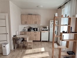 Продается Студия ЖК Новые Матрешки, дом 2 , 30.6  м&sup2;, 4100000 рублей