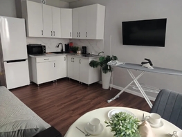 Снять однокомнатную квартиру Ленина ул, 24  м&sup2;, 3800 рублей