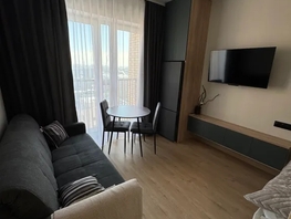 Снять однокомнатную квартиру Немировича-Данченко ул, 28  м&sup2;, 3000 рублей