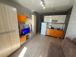 Снять однокомнатную квартиру Виктора Уса ул, 20  м&sup2;, 1725 рублей