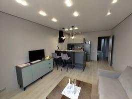 Снять однокомнатную квартиру Станиславского ул, 50  м&sup2;, 3500 рублей