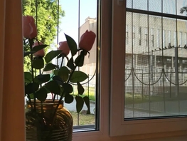 Снять однокомнатную квартиру Красный пр-кт, 20  м&sup2;, 2576 рублей