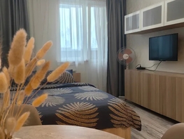 Снять однокомнатную квартиру Рябиновая ул, 27  м&sup2;, 2500 рублей