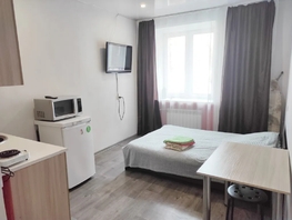 Снять однокомнатную квартиру Карла Маркса пр-кт, 22  м&sup2;, 2400 рублей