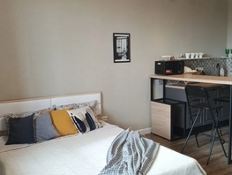 Снять однокомнатную квартиру Костычева ул, 30  м&sup2;, 3290 рублей
