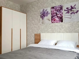 Снять однокомнатную квартиру Красный пр-кт, 35  м&sup2;, 3900 рублей