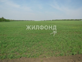 Участок, 2000 сот., Земля сельхозназначения