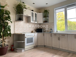 Дом, Широкая ул