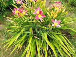 Продается Дом Красноярский тракт, 62 м², участок 5 сот., 2540000 рублей