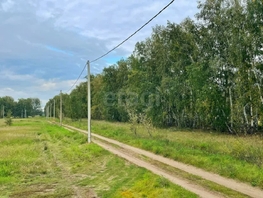 Продается Участок ИЖС Дубровского (Иртышские Зори тер. СНТ) аллея, 10.6  сот., 2900000 рублей