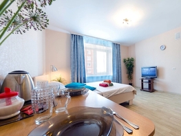Сдается посуточно Савиных ул, 27 м², 1600 рублей