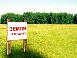 Продается участок Новостройка ул, 1000 сот., 250000 рублей