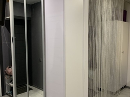 Продается 1-комнатная квартира ЖК Сибирская, дом 109, 29  м², 4900000 рублей
