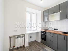 Продается 2-комнатная квартира Фрунзе пр-кт, 44.2 м², 6999000 рублей