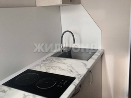 Продается 1-комнатная квартира Кирова пр-кт, 30  м&sup2;, 4500000 рублей