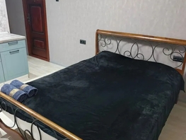 Снять однокомнатную квартиру Ивана Черных ул, 18  м&sup2;, 2490 рублей