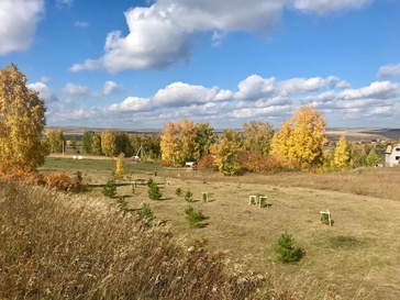 Времена года